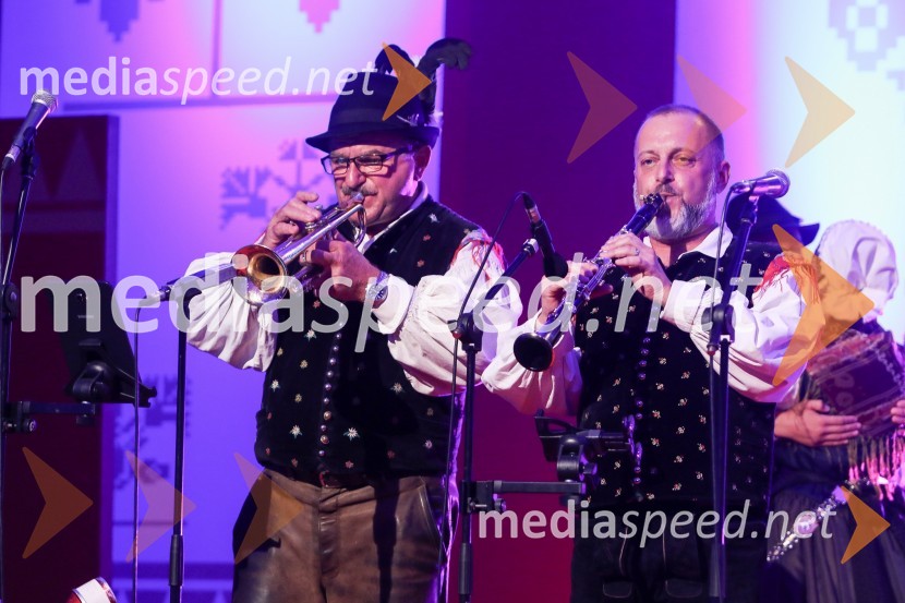 Festival Avsenik 2017, sobota