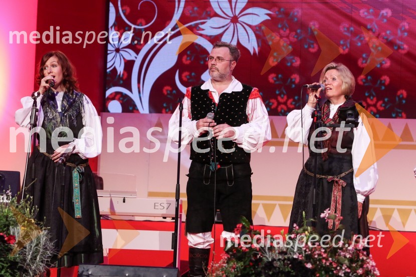 hišni ansambel AvsenikFestival Avsenik 2017, sobota