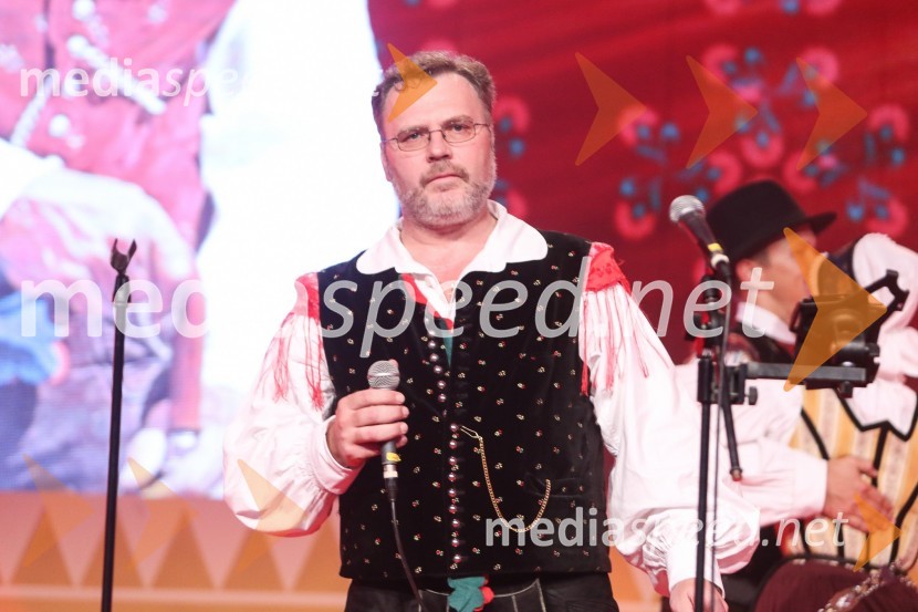 Festival Avsenik 2017, sobota