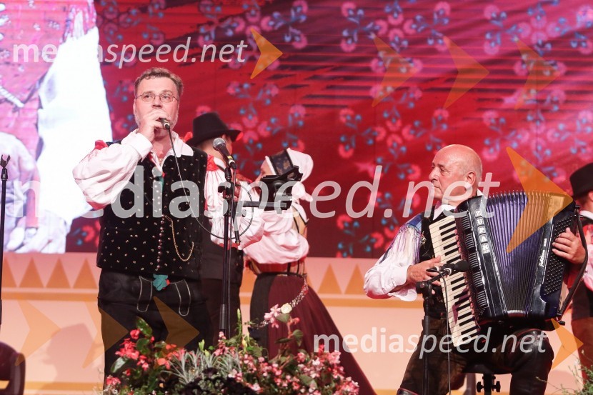 hišni ansambel AvsenikFestival Avsenik 2017, sobota