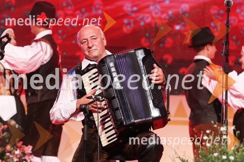 Festival Avsenik 2017, sobota