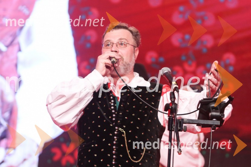 Festival Avsenik 2017, sobota