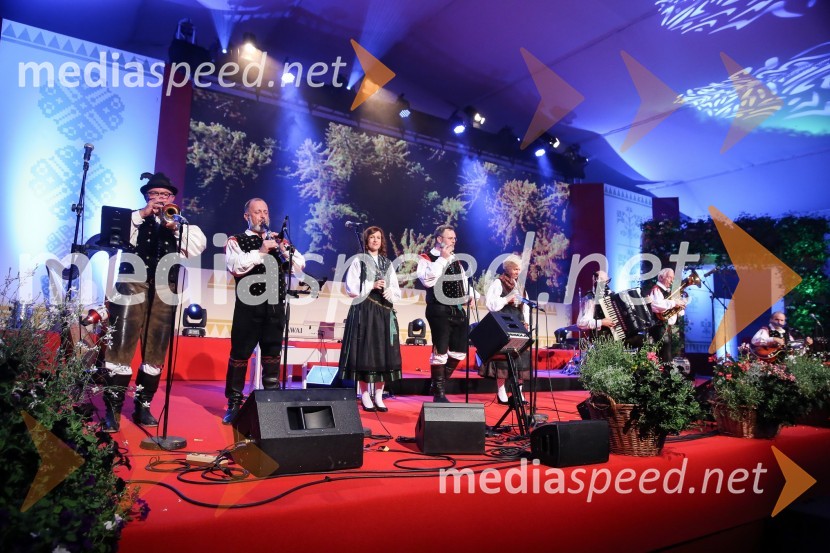 hišni ansambel AvsenikFestival Avsenik 2017, sobota