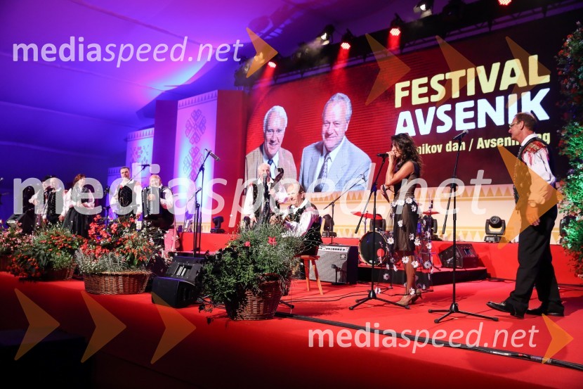 hišni ansambel AvsenikFestival Avsenik 2017, sobota