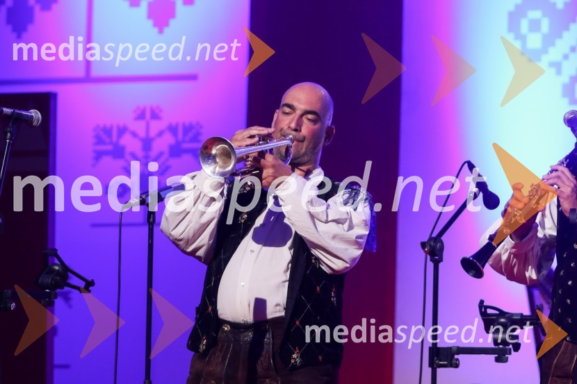 Festival Avsenik 2017, sobota