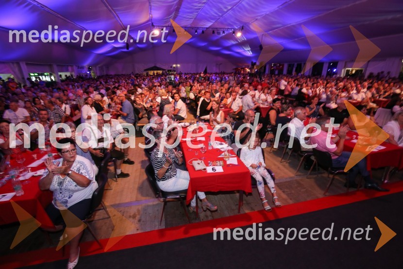 Festival Avsenik 2017, sobotaFestival Avsenik 2017, sobota