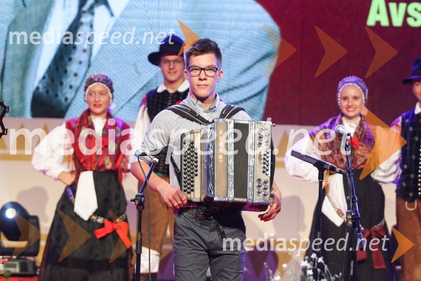 Festival Avsenik 2017, sobota