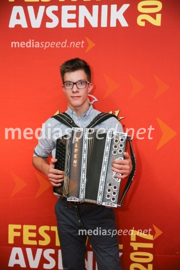 Festival Avsenik 2017, sobota