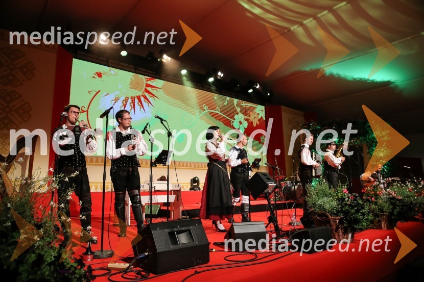 Festival Avsenik 2017, sobotaFestival Avsenik 2017, sobota