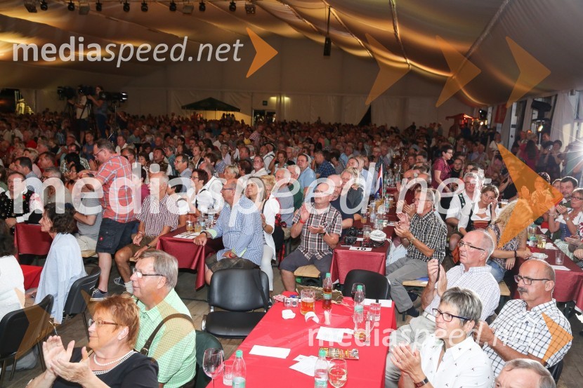 Festival Avsenik 2017, sobotaFestival Avsenik 2017, sobota