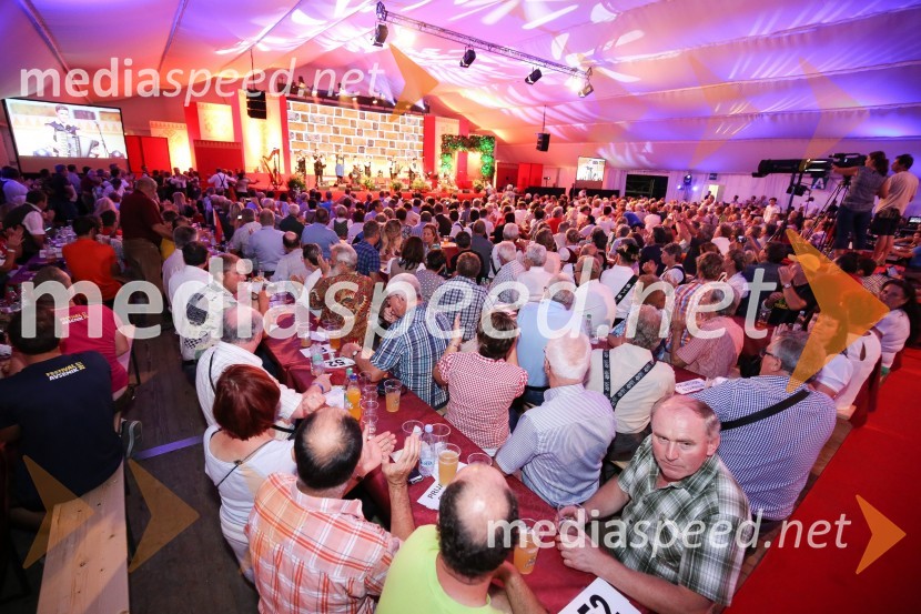 Festival Avsenik 2017, sobotaFestival Avsenik 2017, sobota