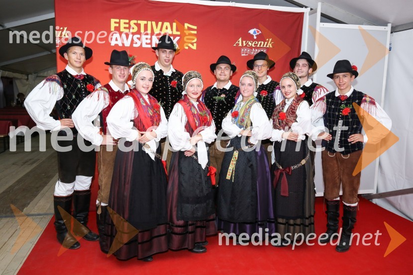 Festival Avsenik 2017, sobota