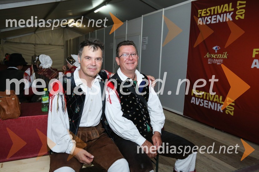 Festival Avsenik 2017, sobota