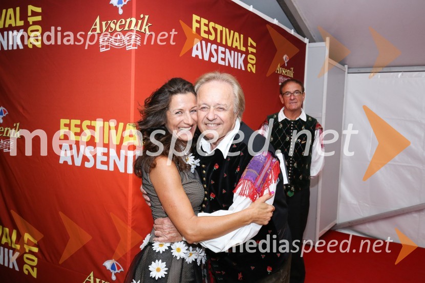  Betka Šuhel Mikolič, mentorica nastopanja v javnosti, radijska in televizijska voditeljica, podjetje BPR;  Alfi Nipič, pevec;  Klemen KoširFestival Avsenik 2017, sobota