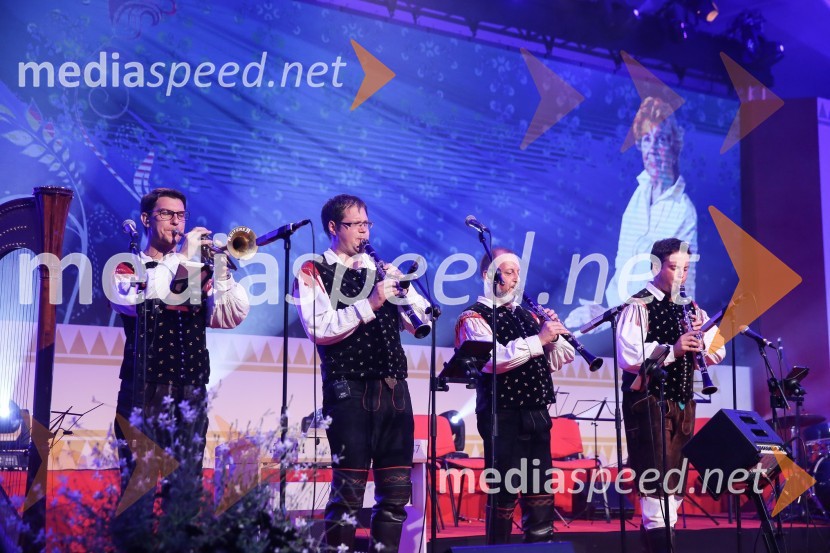  Jan Tamše, Ansambel Saša Avsenika;  Mitja Skočaj, Ansambel Slavka Avsenika;  ... ;  Janez Benko, Ansambel GregorjiFestival Avsenik 2017, sobota