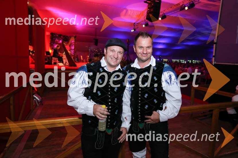  Franjo  Oset, glasbenik, skupina Modrijani;  Peter Oset, glasbenik, skupina ModrijaniFestival Avsenik 2017, sobota