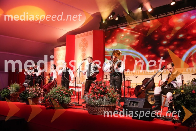 Ansambel Saša AvsenikaFestival Avsenik 2017, sobota