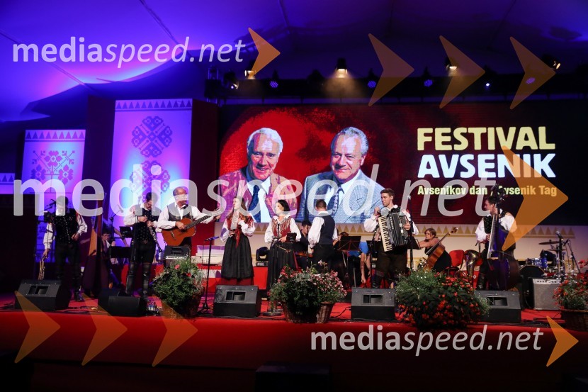 Festival Avsenik 2017, sobota