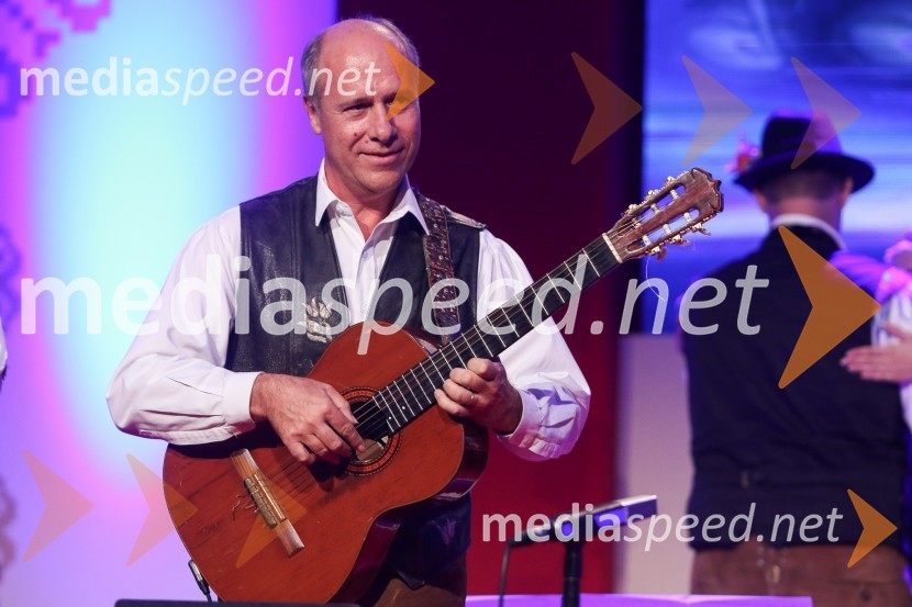  Gregor Avsenik, glasbenikFestival Avsenik 2017, sobota