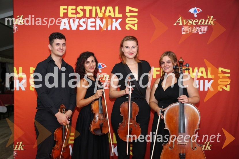 Pihalna godba GŠ AvsenikFestival Avsenik 2017, sobota