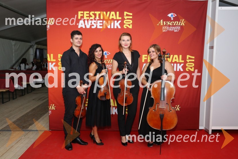 Pihalna godba GŠ AvsenikFestival Avsenik 2017, sobota