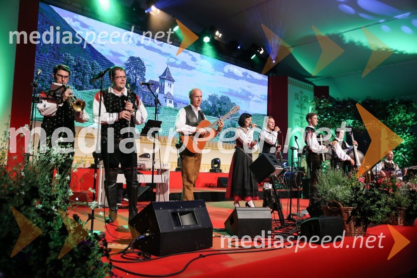 Festival Avsenik 2017, sobota