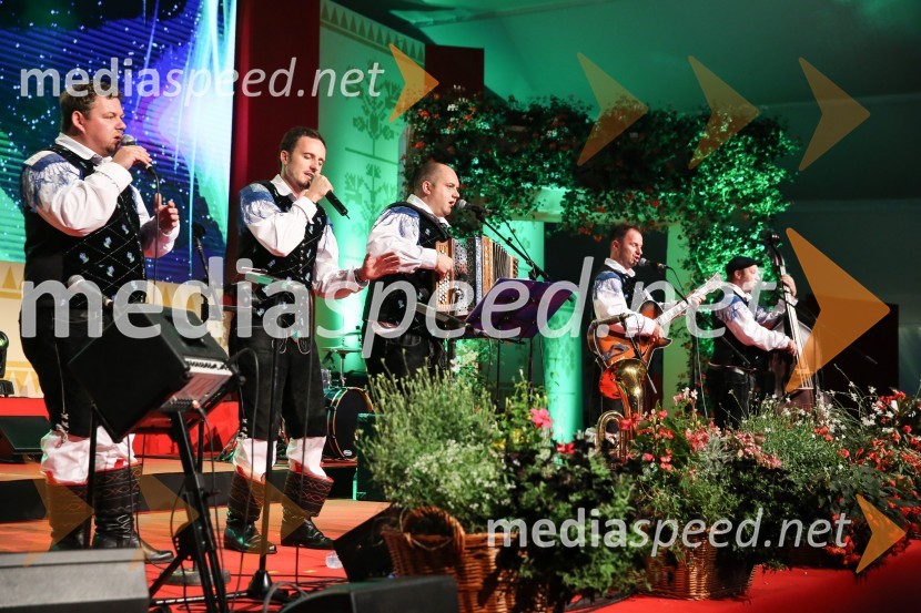 ansambel ModrijaniFestival Avsenik 2017, sobota