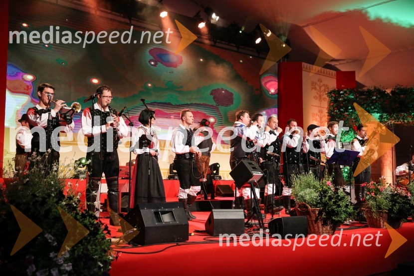 Festival Avsenik 2017, sobotaFestival Avsenik 2017, sobota