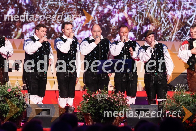  ... ;  Blaž Švab, pevec, skupina Modrijani;  Rok Švab, glasbenik, skupina Modrijani;  Peter Oset, glasbenik, skupina Modrijani;  Franjo  Oset, glasbenik, skupina ModrijaniFestival Avsenik 2017, sobota