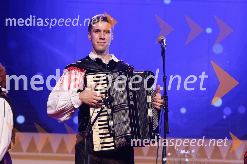 Festival Avsenik 2017, sobota