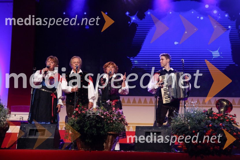 Festival Avsenik 2017, sobota