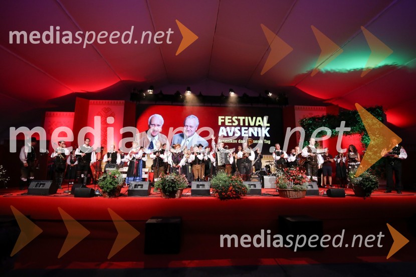 Festival Avsenik 2017, sobota