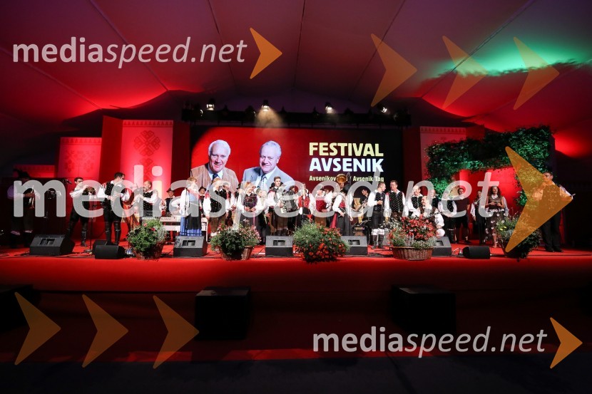 Festival Avsenik 2017, sobota