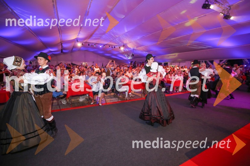 Festival Avsenik 2017, sobotaFestival Avsenik 2017, sobota