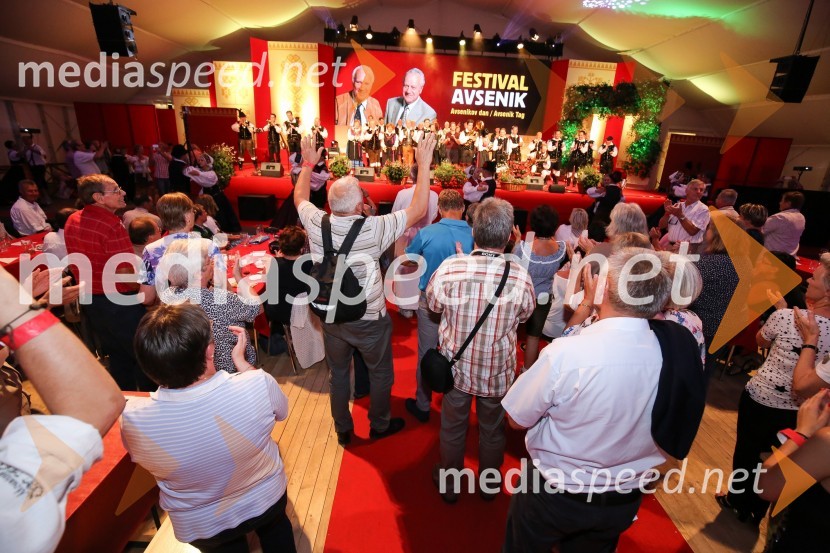 Festival Avsenik 2017, sobota