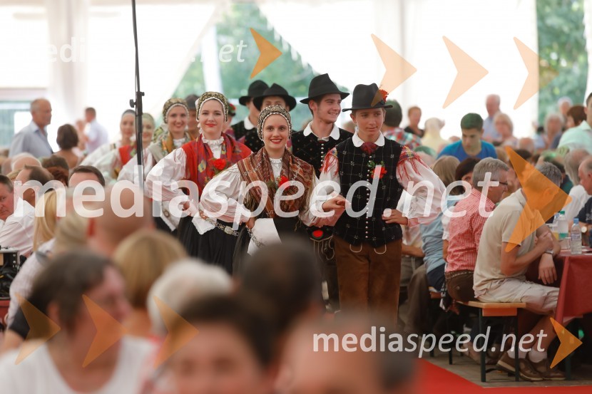 Festival Avsenik 2017Festival Avsenik 2017, nedelja