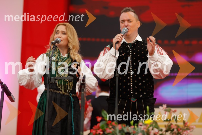 Festival Avsenik 2017, nedelja