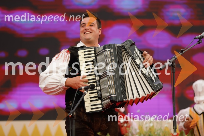 Festival Avsenik 2017, nedelja