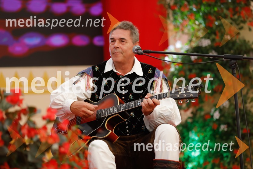 Festival Avsenik 2017, nedelja