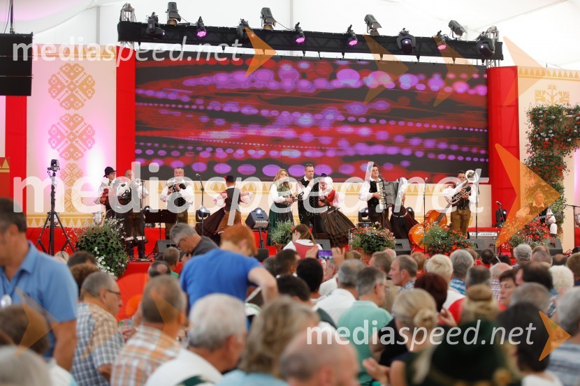 Festival Avsenik 2017, nedelja