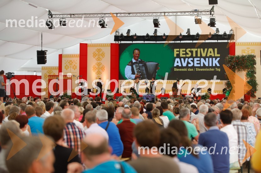 Festival Avsenik 2017, nedelja