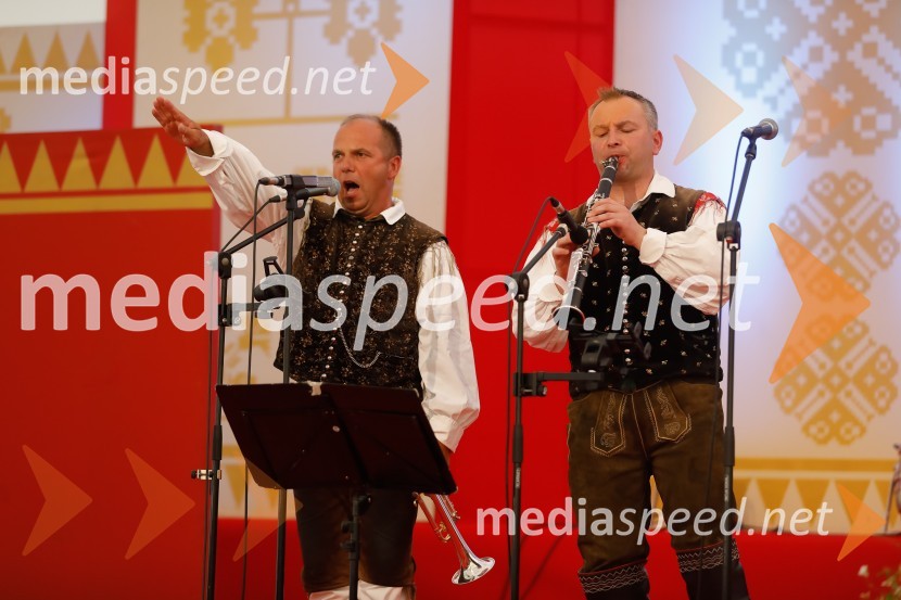 Festival Avsenik 2017, nedelja