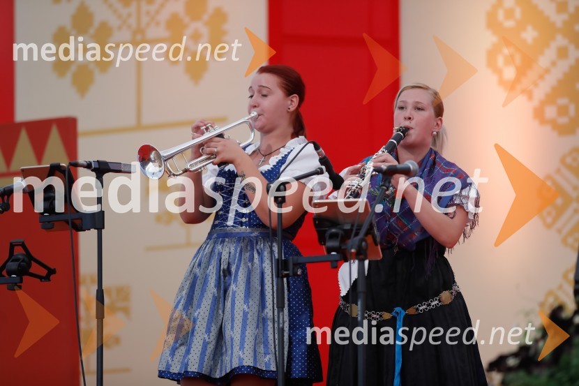 Festival Avsenik 2017, nedelja