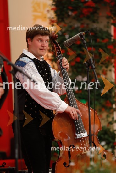 Festival Avsenik 2017, nedelja
