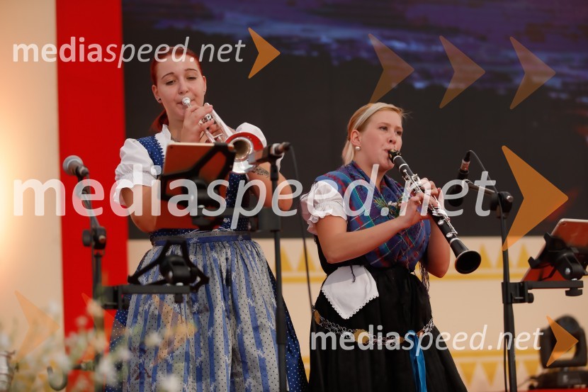 Festival Avsenik 2017, nedelja