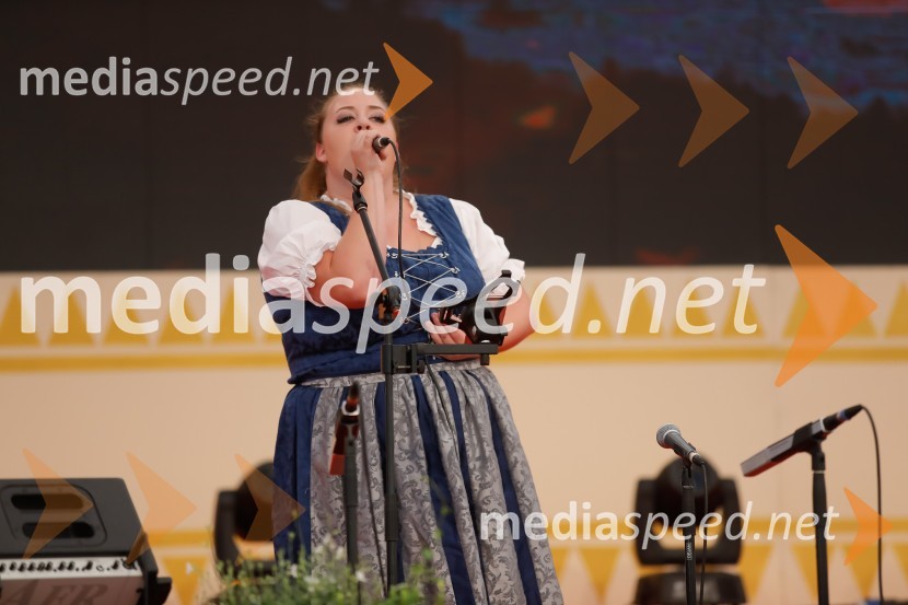 Festival Avsenik 2017, nedelja