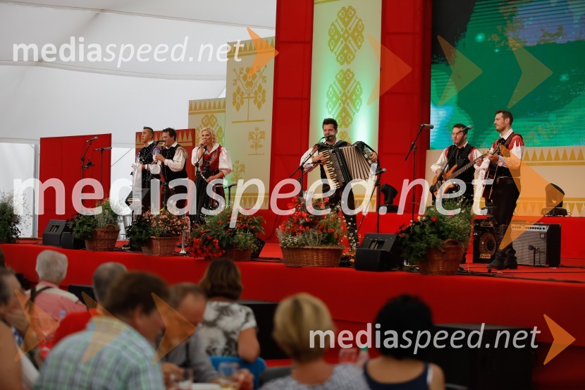 Skupina Veseli svatjeFestival Avsenik 2017, nedelja