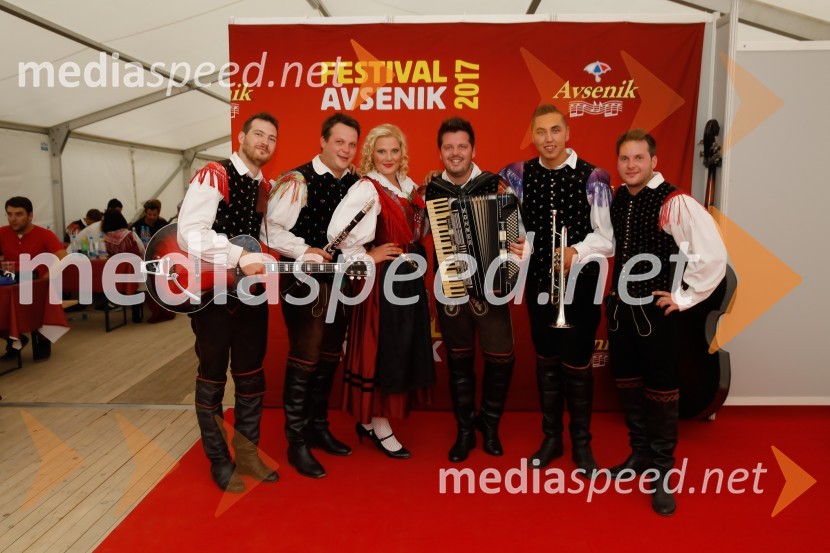  Toni Zelnik, glasbenik, skupina Veseli svatje;  Nejc Dobovišek, glasbenik, skupina Veseli svatje;  Anita Kadenšek, pevka, skupina Veseli svatje;  Blaž Šenk, glasbenik, skupina Veseli svatje;  Denis Dečman, glasbenik, skupina Veseli svatje;  Dejan Dobovišek, glasbenik, skupina Veseli svatjeFestival Avsenik 2017, nedelja