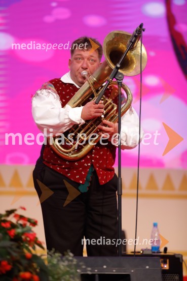 Festival Avsenik 2017, nedelja