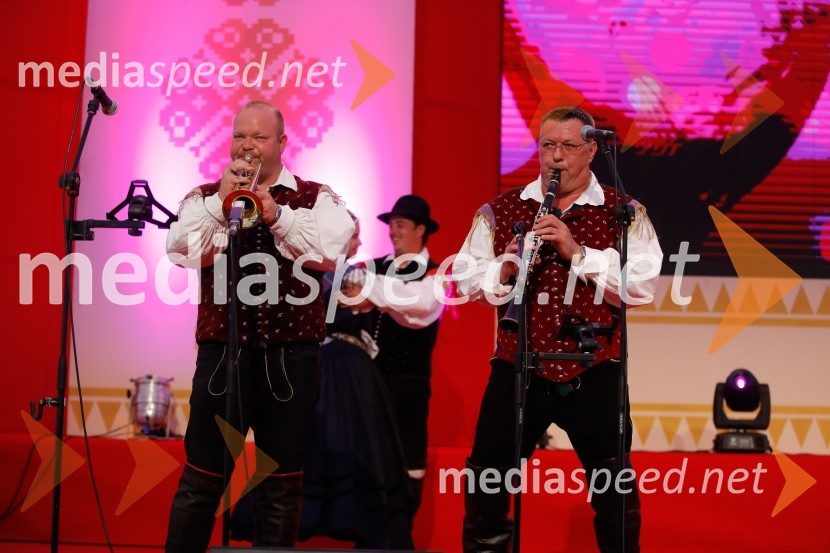 Festival Avsenik 2017, nedelja